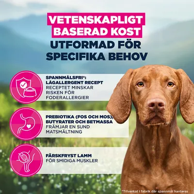 Eukanuba Special Care Mono-Protein Adult Lamb