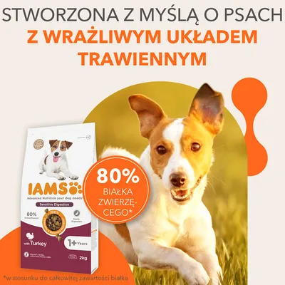 IAMS Sensitive Digestion z indykiem, 2 kg. 80% białka zwierzęcego. Stworzona z myślą o psach z wrażliwym układem trawiennym. 1+ Years. Easily digestible.