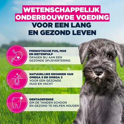 Eukanuba Premium Nutrition Puppy Klein Ras Kip