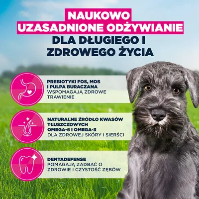 Eukanuba Premium Nutrition Puppy Small Breed, kurczak