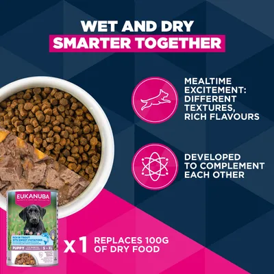 Eukanuba Premium Nutrition Puppy Small Breed Puppy csirke