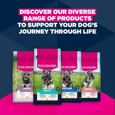 Eukanuba Premium Nutrition Puppy Small Breed Κοτόπουλο