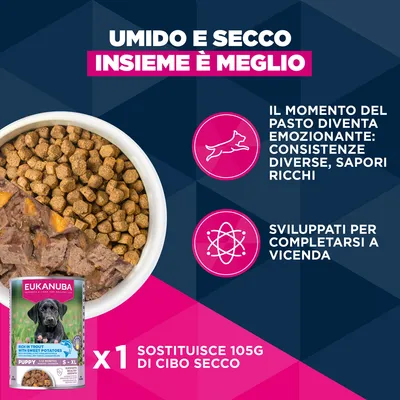 Eukanuba Premium Nutrition Puppy Medium Breed Pollo