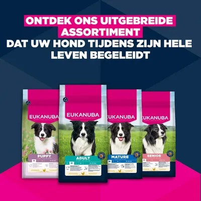 Eukanuba Premium Voeding Puppy Middelgroot Ras Kip