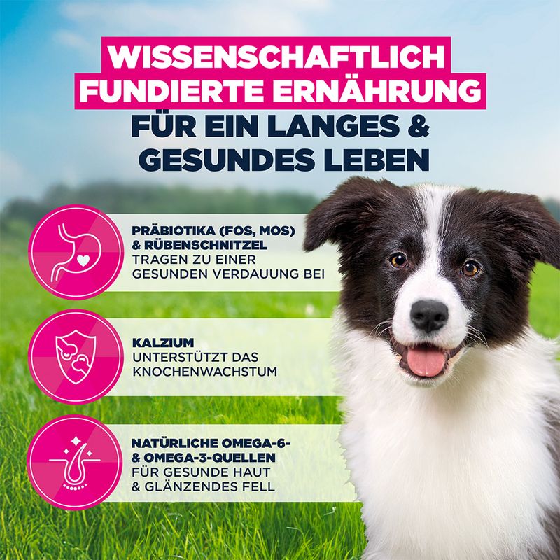 Eukanuba Premium Nutrition Puppy Medium Breed piščanec