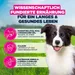 3 kg gratis! 18 kg Eukanuba Premium Nutrition mit Huhn