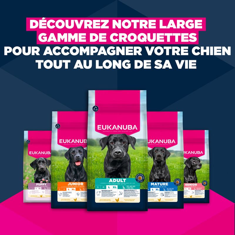 Eukanuba Premium Nutrition Junior Large et Giant Breed au poulet