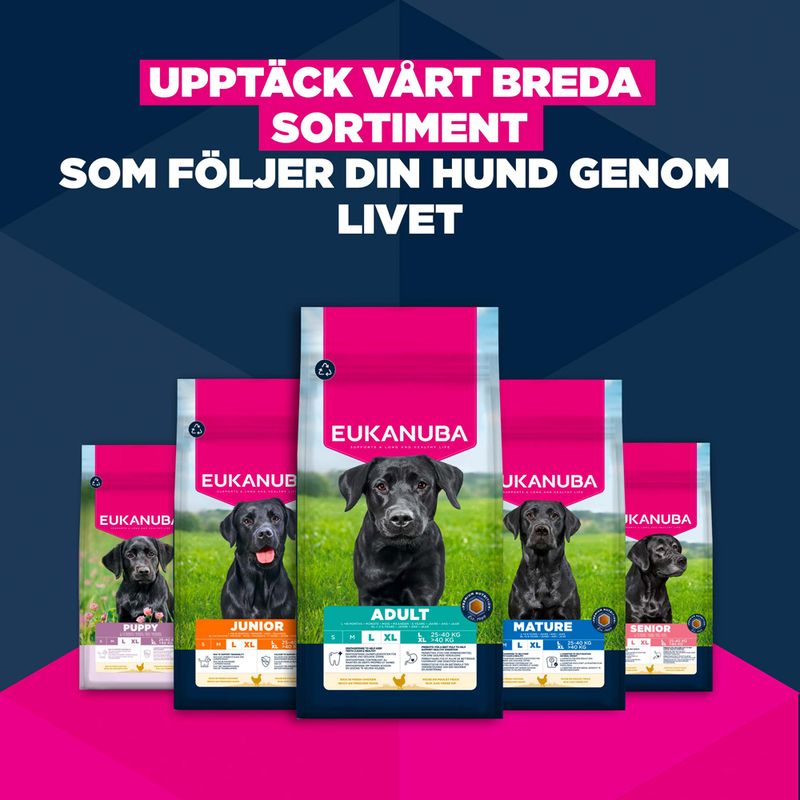 Eukanuba Premium Nutrition Junior Large & Giant Breed Chicken