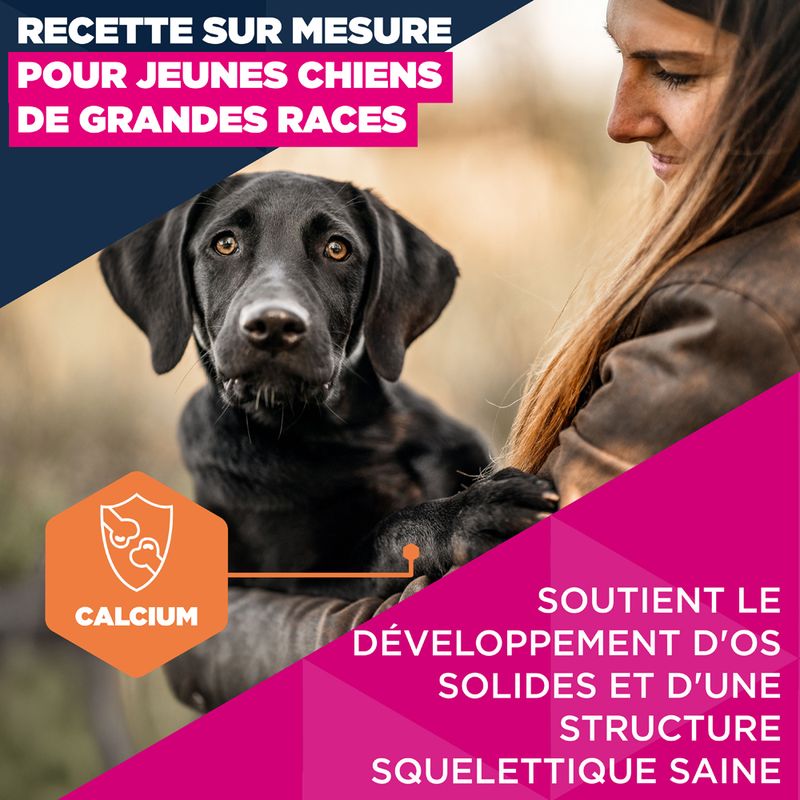 Eukanuba Premium Nutrition Junior Large et Giant Breed au poulet