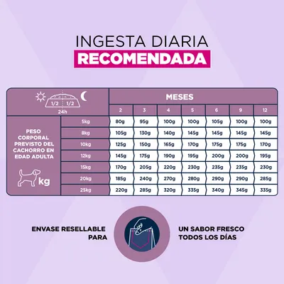 Eukanuba Premium Nutrition Puppy Small & Medium Breed cordero y arroz