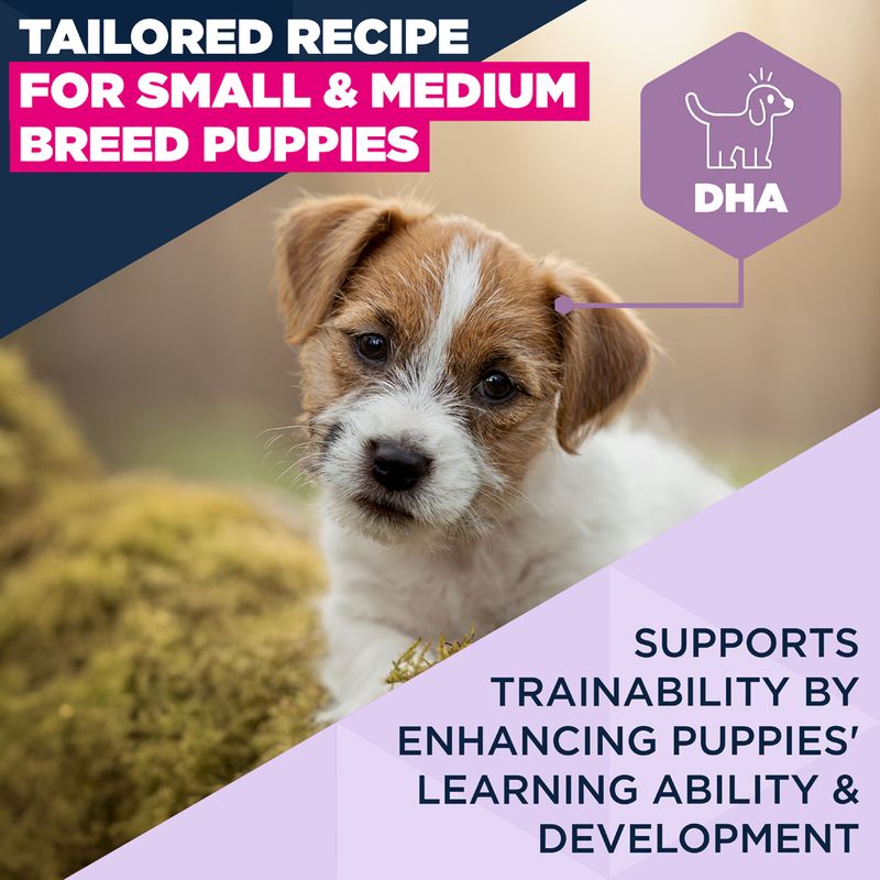 Eukanuba Premium Nutrition Puppy Small & Medium Breed bárány & rizs