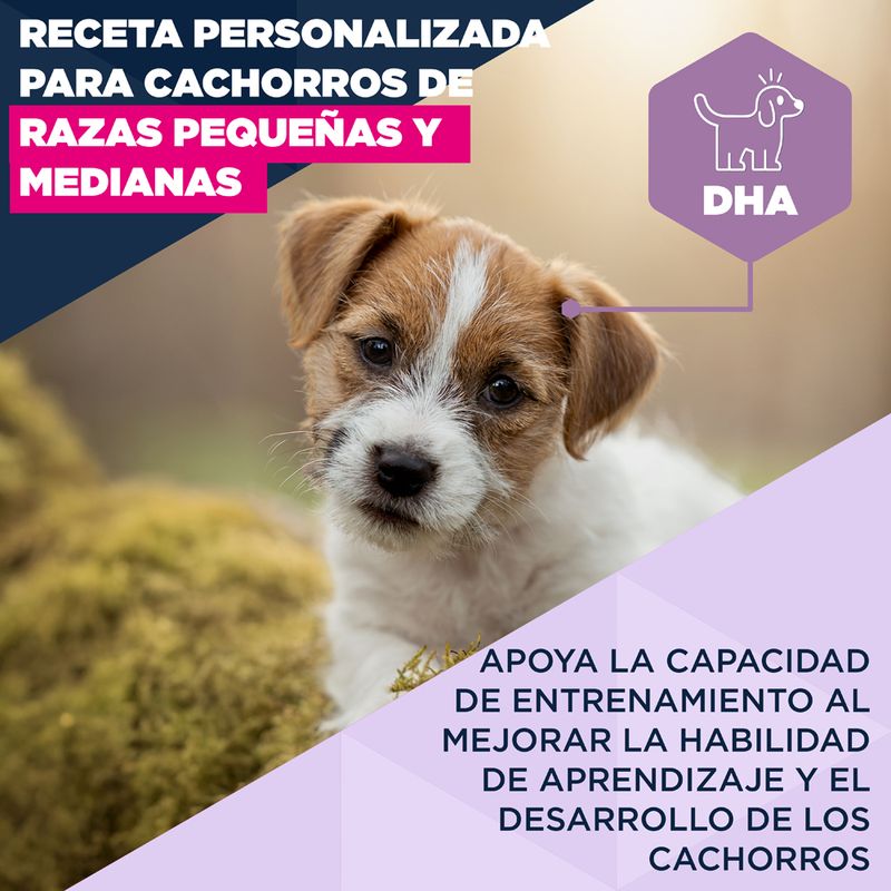 Eukanuba Premium Nutrition Senior Large & Giant Breed cordero y arroz