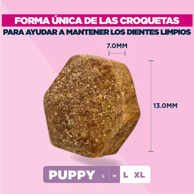 Eukanuba Premium Nutrition Puppy Large & Giant Breed cordero y arroz