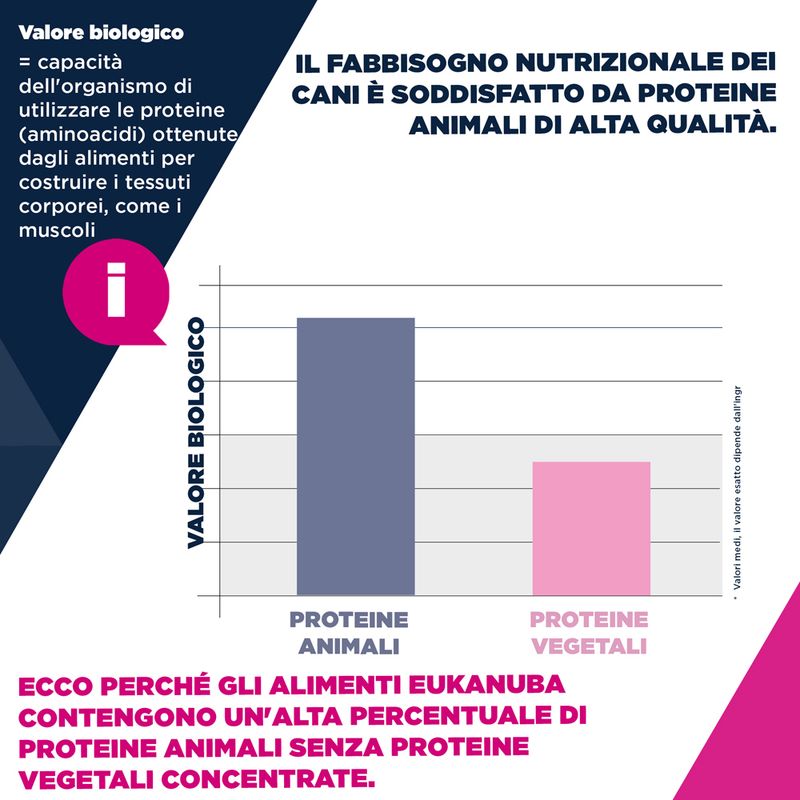 Eukanuba Premium Nutrition Adult Large & Giant Breed Pollo