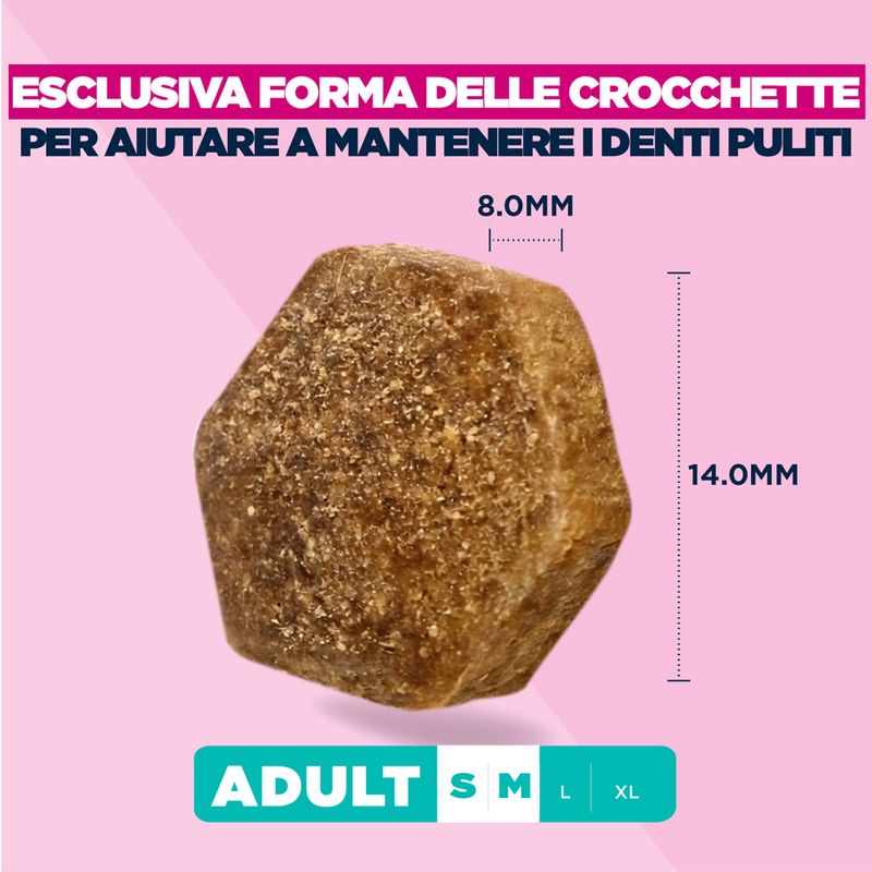 Eukanuba Premium Nutrition Adult Small & Medium Breed Agnello & Riso
