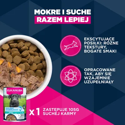 Eukanuba Premium Nutrition Adult Large & Giant Breed, jagnięcina i ryż