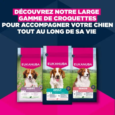 Eukanuba Premium Nutrition Adult Small et Medium Breed saumon