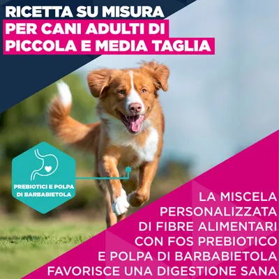 Eukanuba Premium Nutrition Adult Small & Medium Breed Salmone