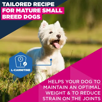 Eukanuba Premium Nutrition Mature Small Breed kana