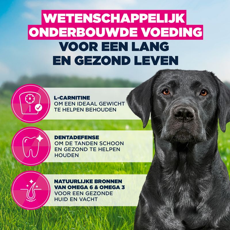 Eukanuba Thriving Mature Large Breed Kip Hondenvoer