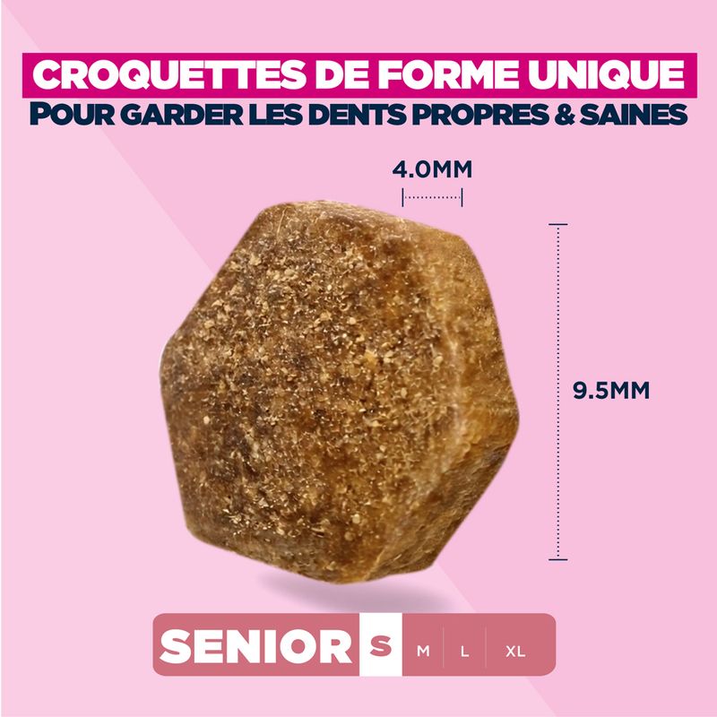 Eukanuba Premium Nutrition Senior Small Breed au poulet