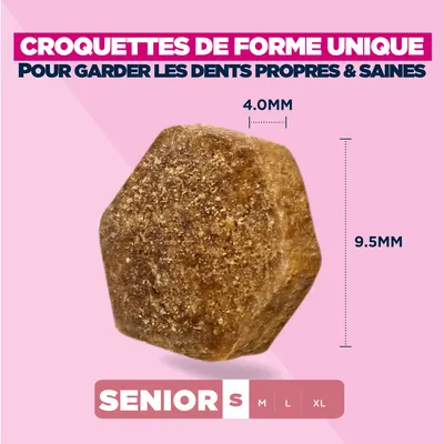 Eukanuba Premium Nutrition Senior Small Breed au poulet