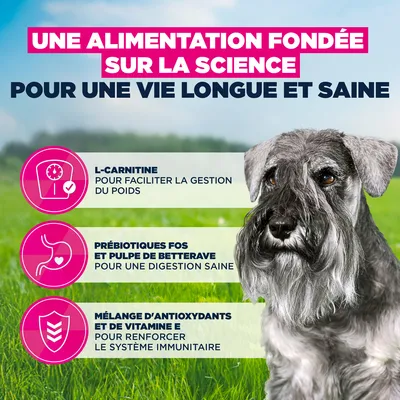 Eukanuba Premium Nutrition Senior Small Breed au poulet