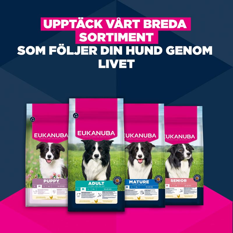 Eukanuba Premium Nutrition Senior Medium Breed Chicken
