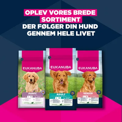 Eukanuba Premium Nutrition Senior Large & Giant Breed Lam & Ris