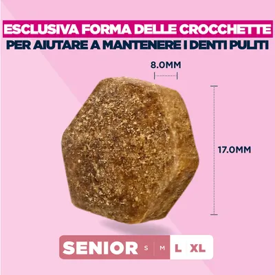 Eukanuba Premium Nutrition Senior Large & Giant Breed Agnello & Riso