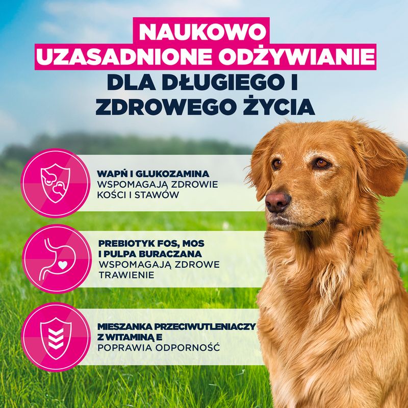 Eukanuba Premium Nutrition Senior Large & Giant Breed, jagnięcina i ryż
