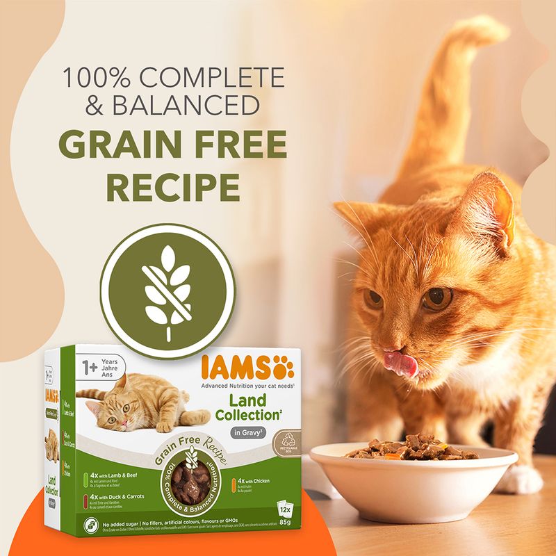 IAMS Advanced Nutrition Grain Free Land Collection w sosie