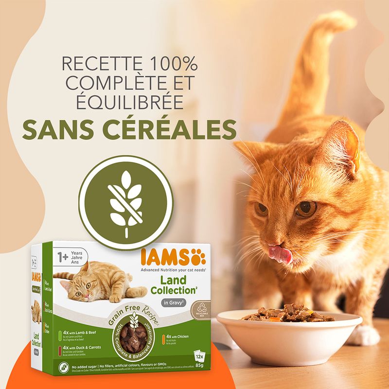 IAMS Advanced Nutrition Grain Free Land Collection en sauce pour chat
