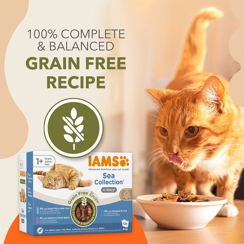 IAMS Advanced Nutrition Grain Free Sea Collection in Sauce