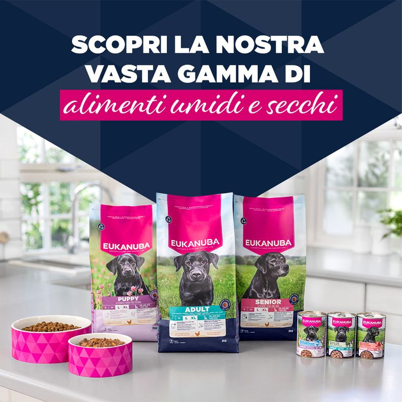 Eukanuba Puppy Ricco di Manzo con Zucca
