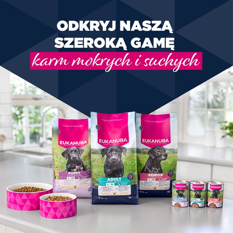 Eukanuba Puppy, wołowina z dynią