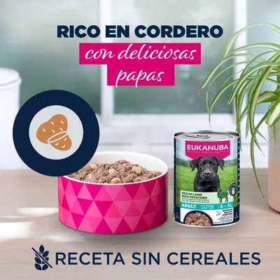 Eukanuba Adult rico en cordero con patatas