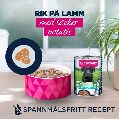Eukanuba Adult Rich in lamm med potatis