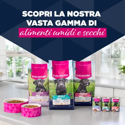 Eukanuba Senior Ricco di Tacchino con Carote