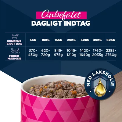 Eukanuba Senior Rig på okse med græskar