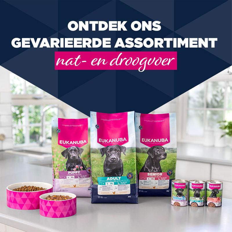 Eukanuba Senior Rijk aan rundvlees met pompoen