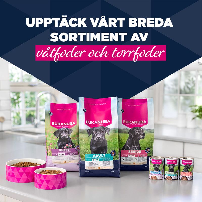 Eukanuba Senior Rich in nötkött med pumpa