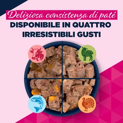 Eukanuba Senior ricco di Trota con patate dolci