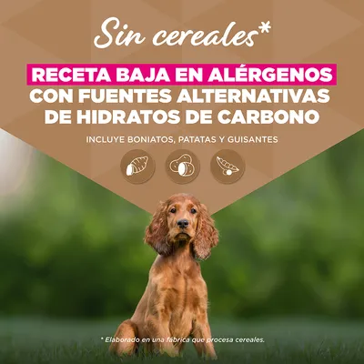 Eukanuba Grain Free Puppy Small & Medium Breed pescado de mar