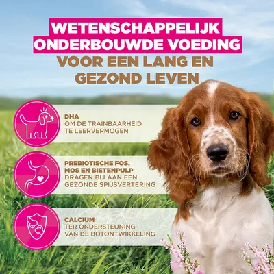 Eukanuba Grain Free Puppy Klein & Middelgroot Ras Zeevis