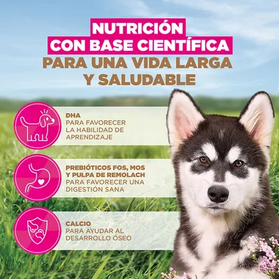 Eukanuba Grain Free Puppy Large & Giant Breed pescado de mar