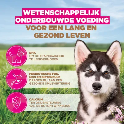 Eukanuba Grain Free Puppy Groot & Reuzenras Zeevis
