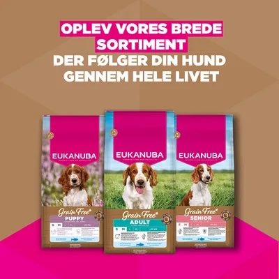 Eukanuba Grain Free Adult Small & Medium med havfisk