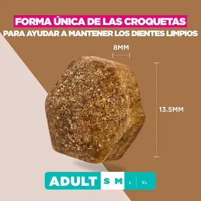 Eukanuba Grain Free Adult Small & Medium con cordero