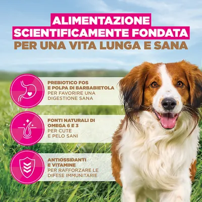 Eukanuba Grain Free Adult Small & Medium Agnello